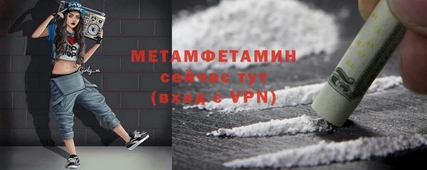 прущая мука Вяземский