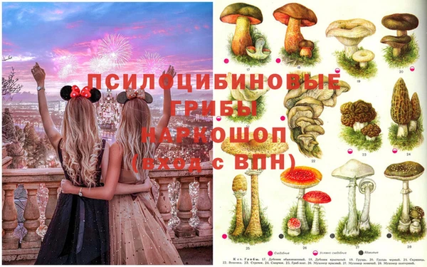 дмт Горно-Алтайск