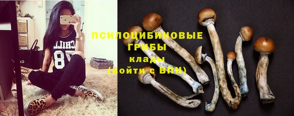 МДПВ Горнозаводск