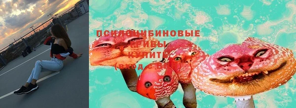 МДПВ Горнозаводск