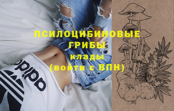мет Горняк