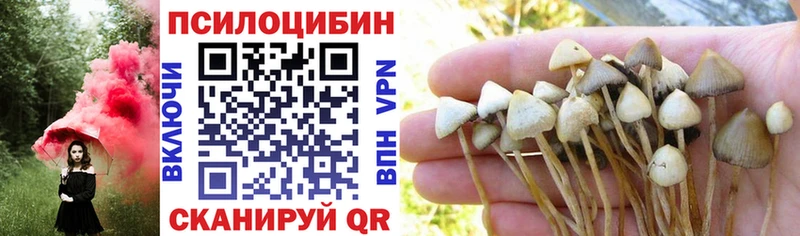 сколько стоит  Долинск  hydra tor  Галлюциногенные грибы GOLDEN TEACHER 